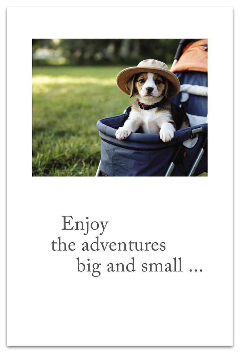 Cardthartic Cards Puppy In Stroller Card