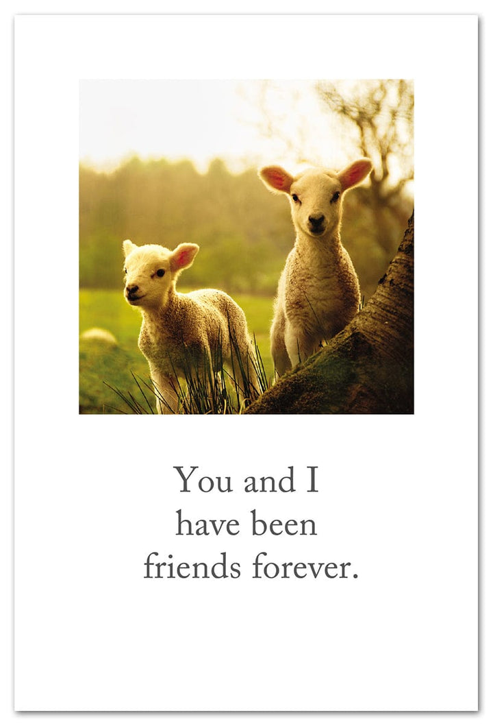 Cardthartic Cards Two Little Lambkins Birthday Card