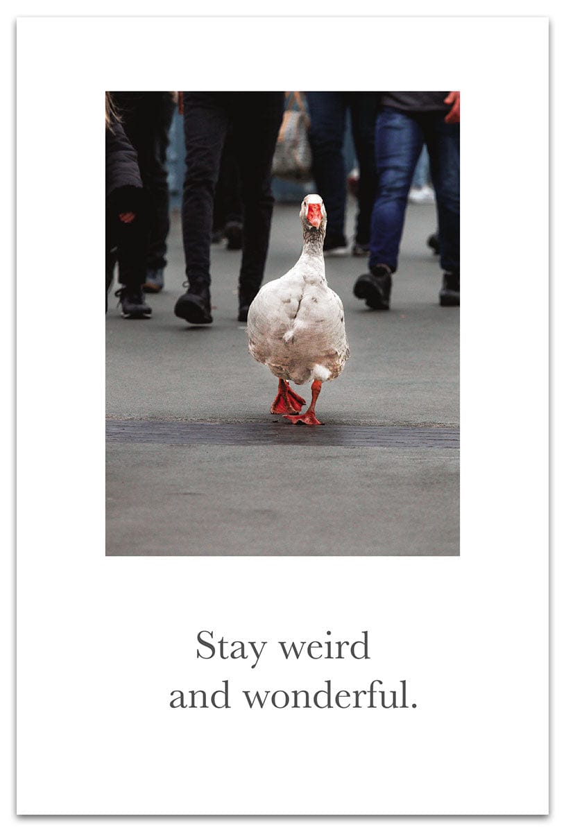 Cardthartic Cards Urban Goose Card