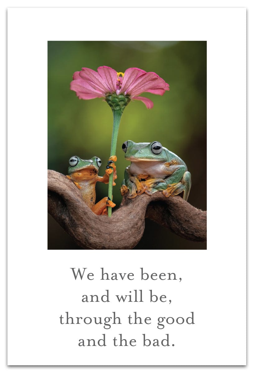 Cardthartic Cards Wallace’s Flying Frogs Friendship Card