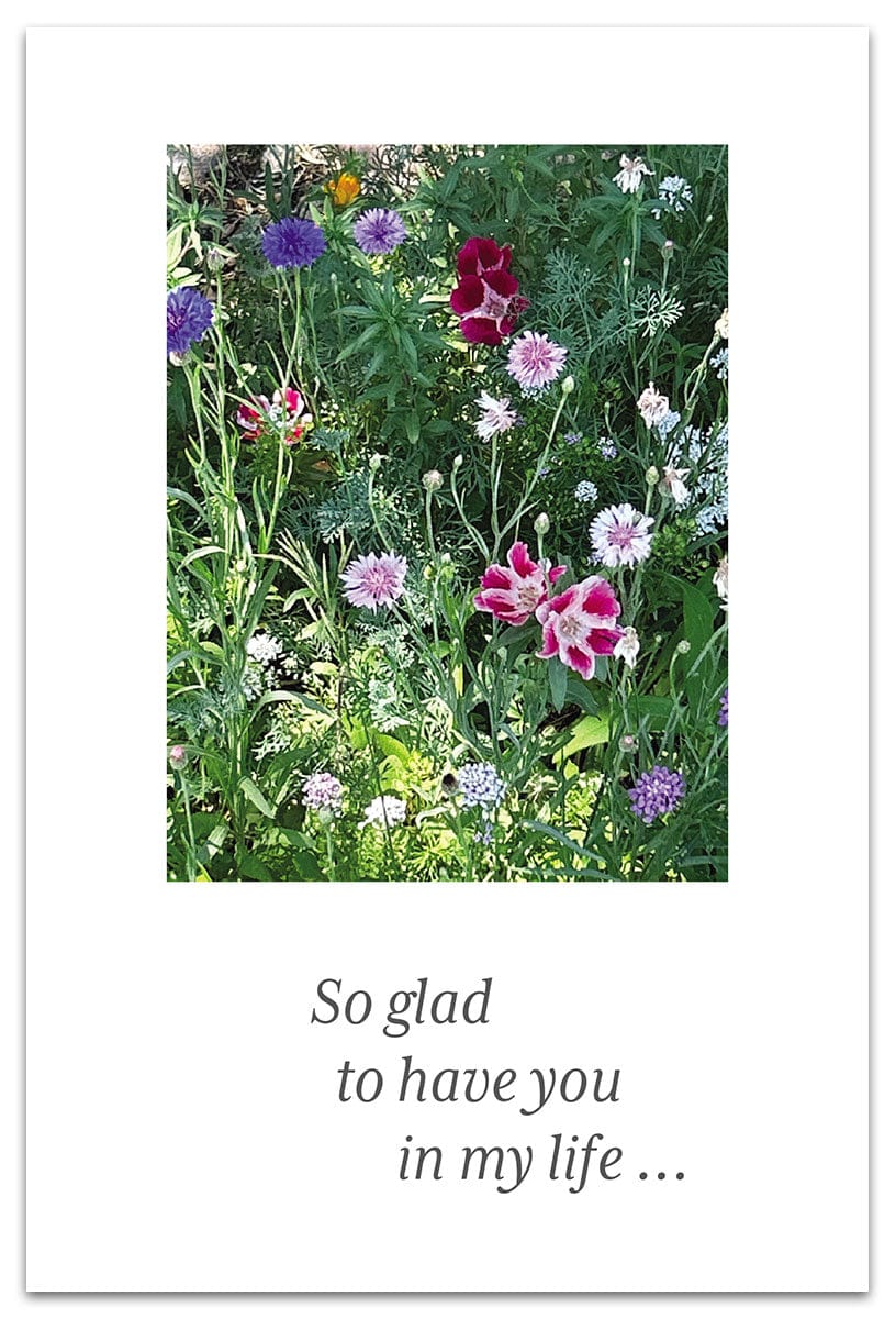 Cardthartic Cards Wildflower Garden Birthday Card