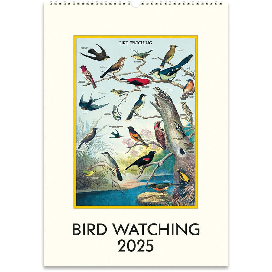 Cavallini & Co. Calendar 2025 Birdwatching Wall Calendar