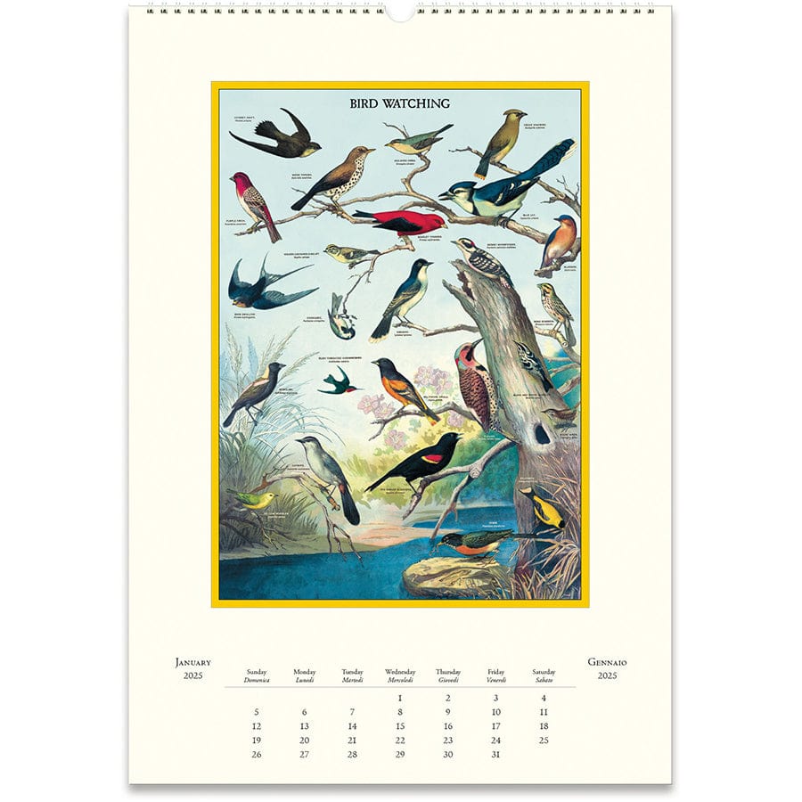 Cavallini & Co. Calendar 2025 Birdwatching Wall Calendar