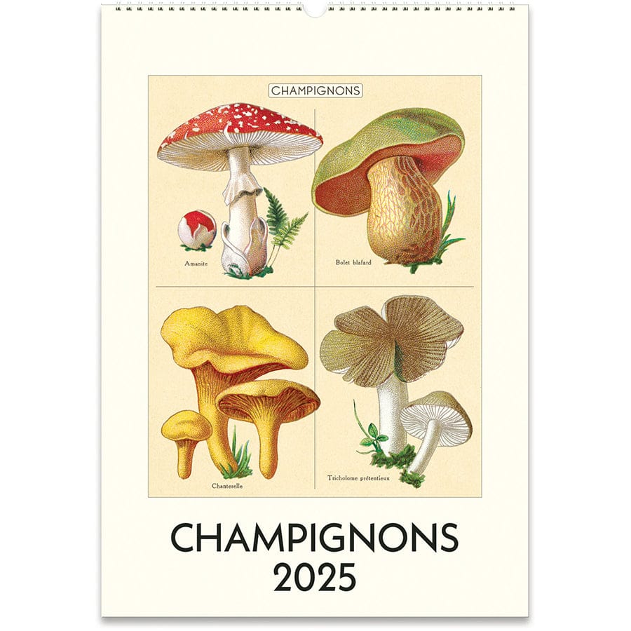 Cavallini & Co. Calendar 2025 Champignons Wall Calendar