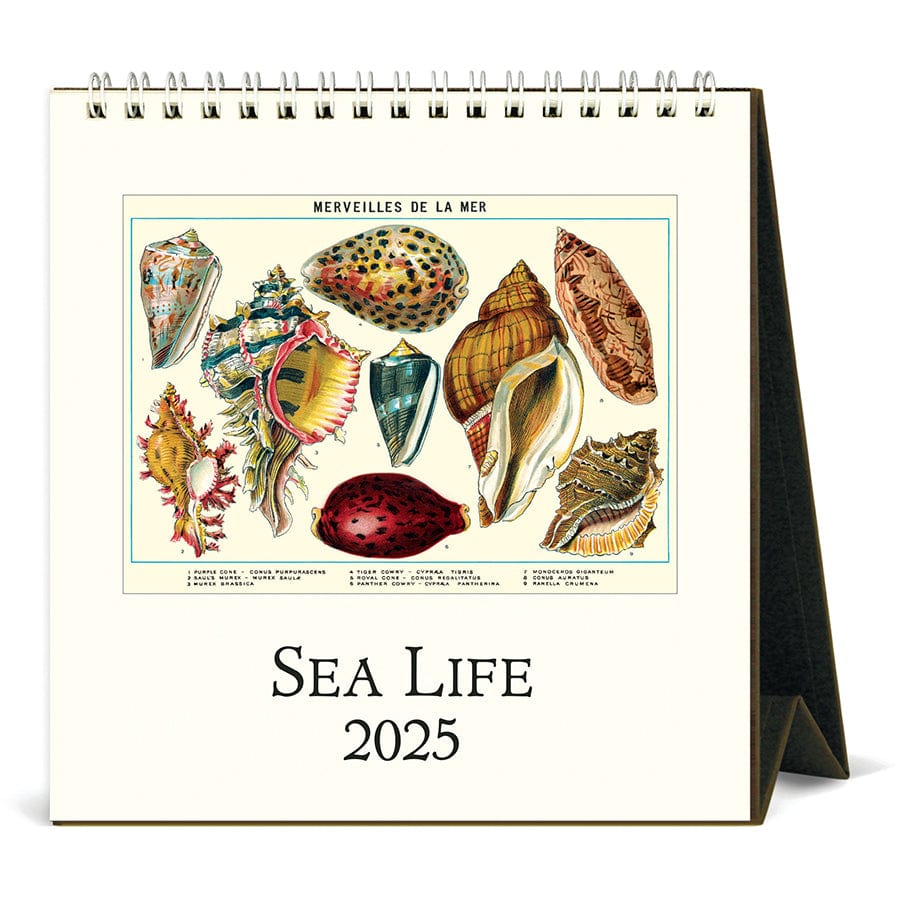 Cavallini & Co. Calendar 2025 Sea Life Desk Calendar