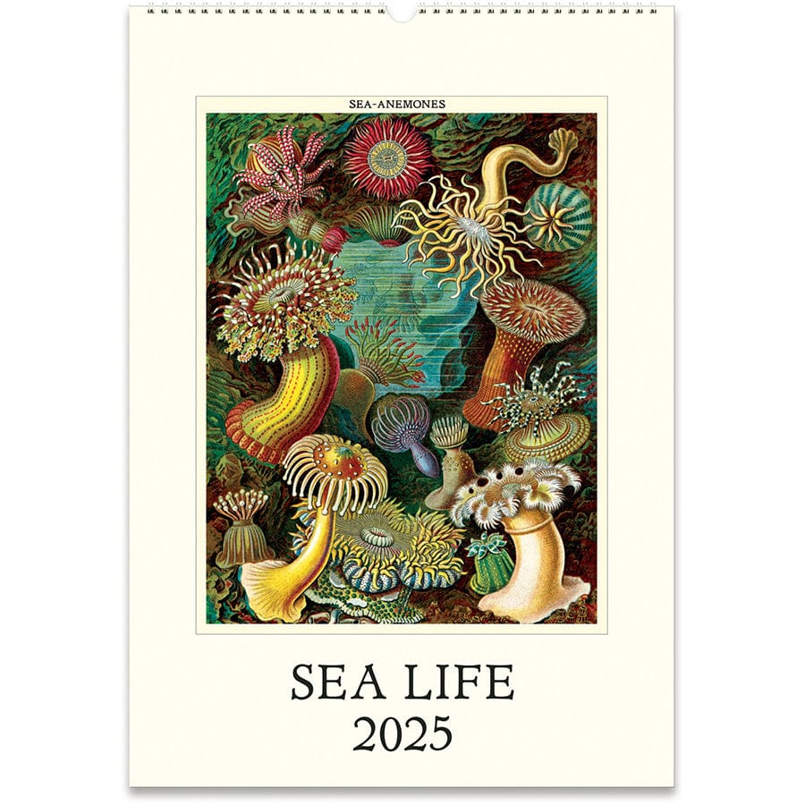 Cavallini & Co. Calendar 2025 Sea Life Wall Calendar