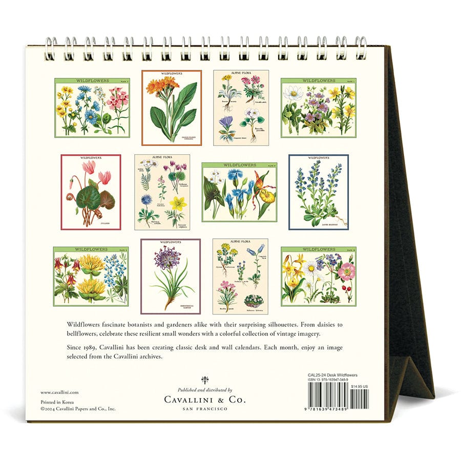 Cavallini & Co. Calendar 2025 Wildflowers Desk Calendar