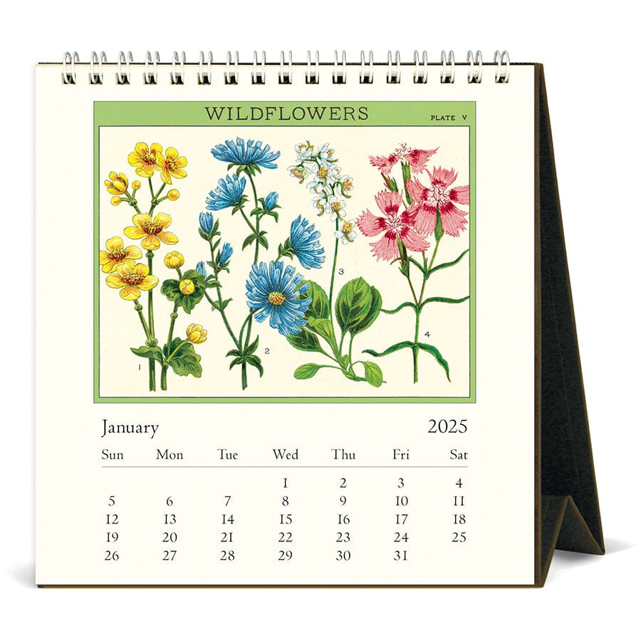 Cavallini & Co. Calendar 2025 Wildflowers Desk Calendar