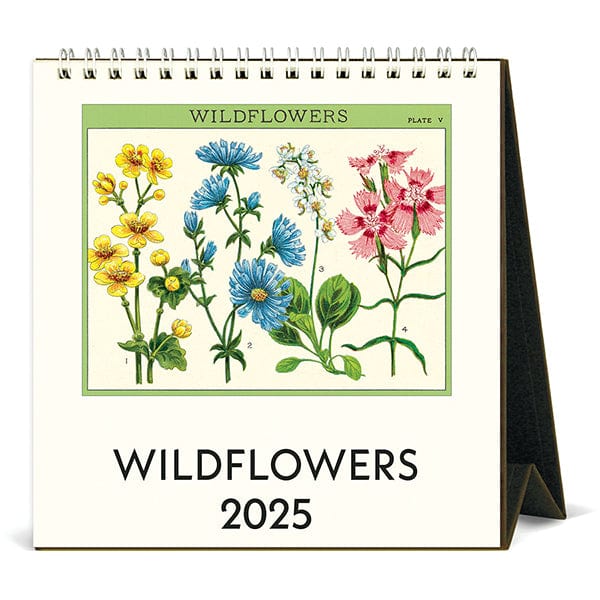 Cavallini & Co. Calendar 2025 Wildflowers Desk Calendar