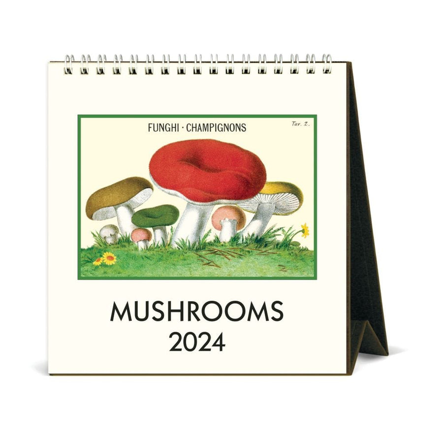 Cavallini & Co. Calendars 2024 Cavallini & Co. Mushrooms Desk Calendar
