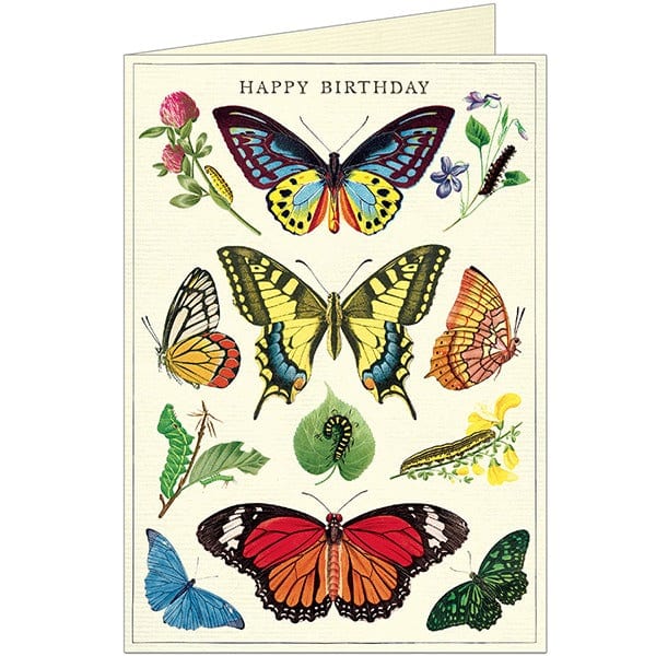 Cavallini & Co. Card Happy Birthday Butterflies Card