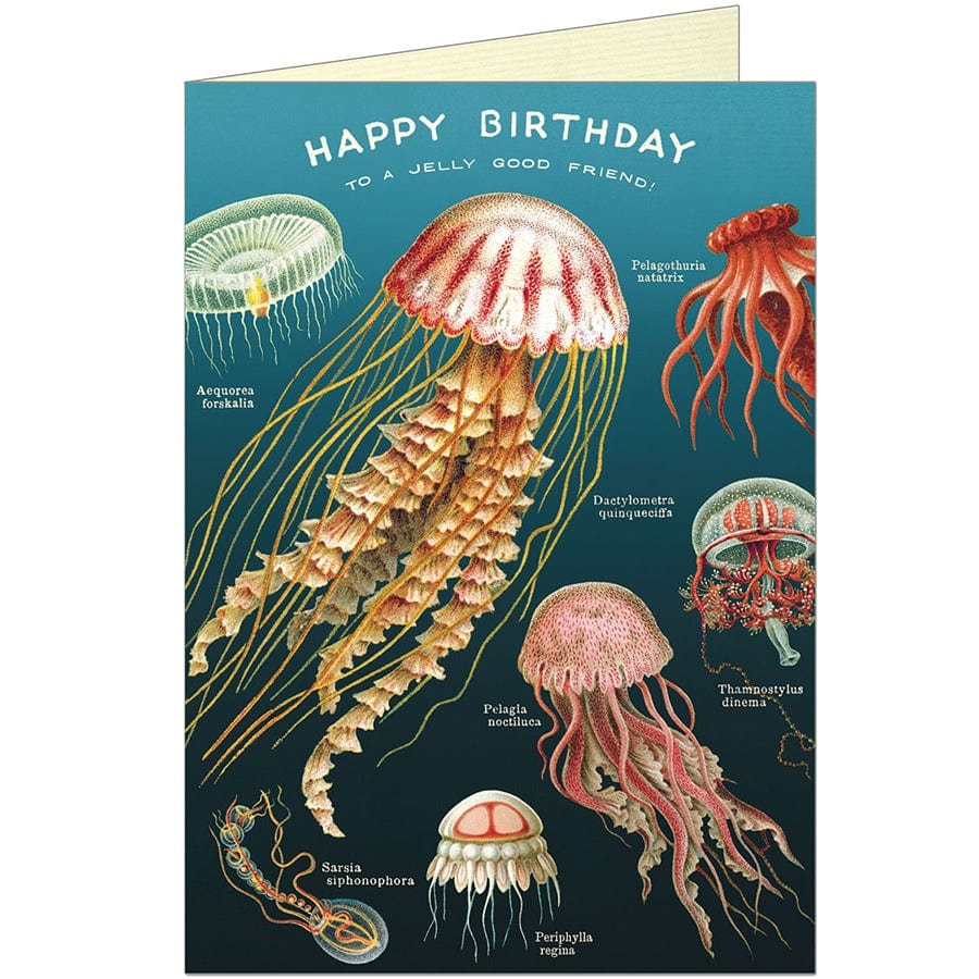 Happy Birthday Jellyfish Friend Card
