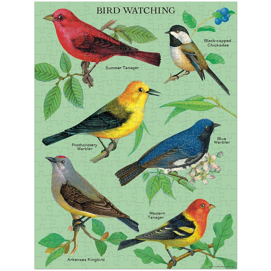 Cavallini & Co. Gifts Cavallini & Co Bird Watching 240 Pieces Mini Puzzle