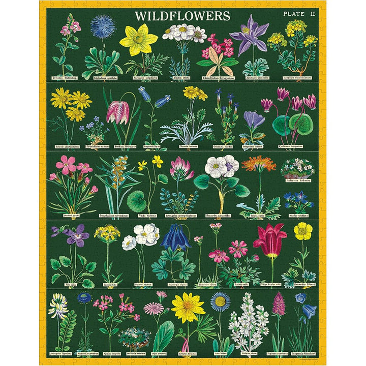 Cavallini & Co. Gifts Cavallini & Co Wildflowers 2 1000 Piece Puzzle