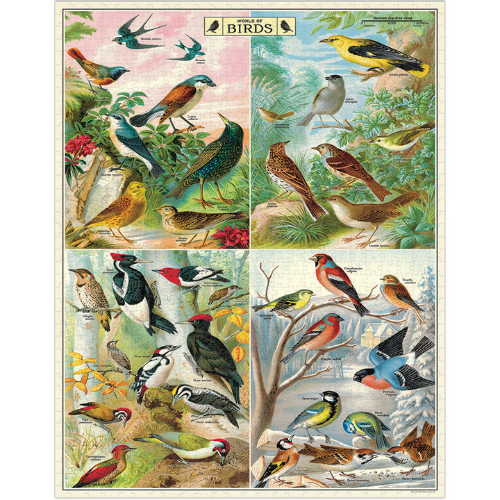 Cavallini & Co. Gifts Cavallini & Co World of Birds 1000 Piece Puzzle
