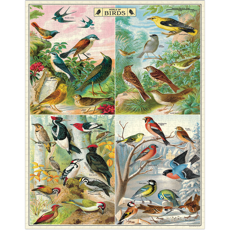 Cavallini & Co. Gifts Cavallini & Co World of Birds 1000 Piece Puzzle