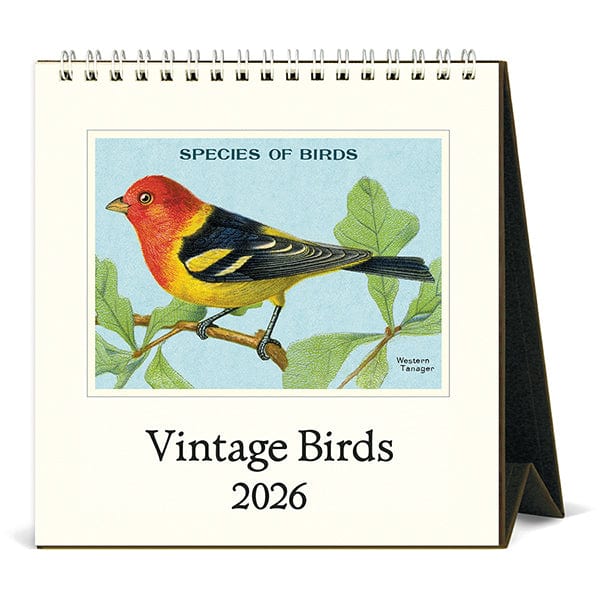 Cavallini & Co. Paper 2026 Birds Desk Calendar