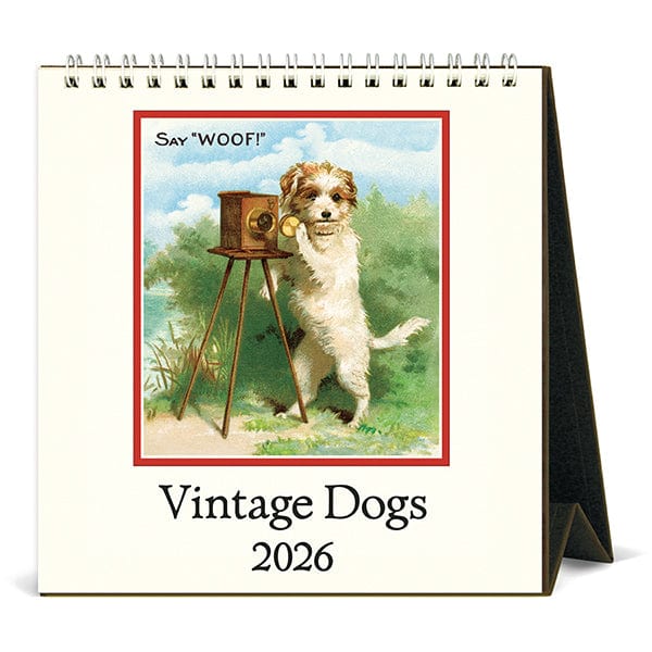 Cavallini & Co. Paper 2026 Dogs Desk Calendar