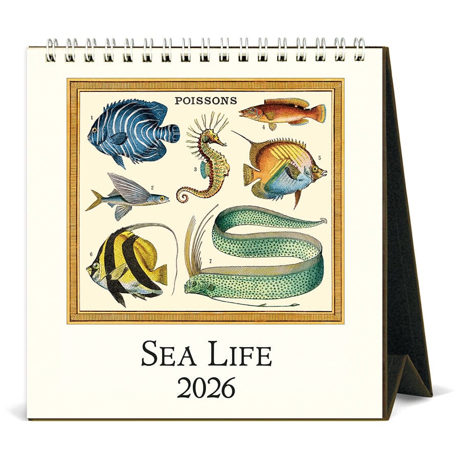 Cavallini & Co. Paper 2026 Sea Life Desk Calendar