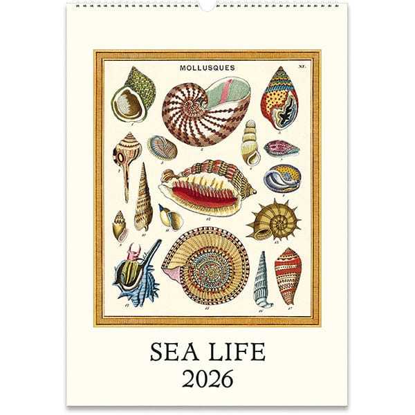 Cavallini & Co. Paper 2026 Sea Life Wall Calendar