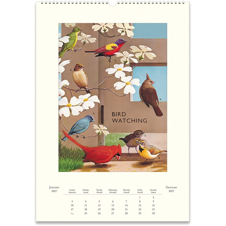 Cavallini & Co. Paper 2027 Bird Watching Wall Calendar