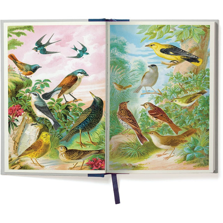 Cavallini &amp; Co. Paper Birdwatching Window Journal