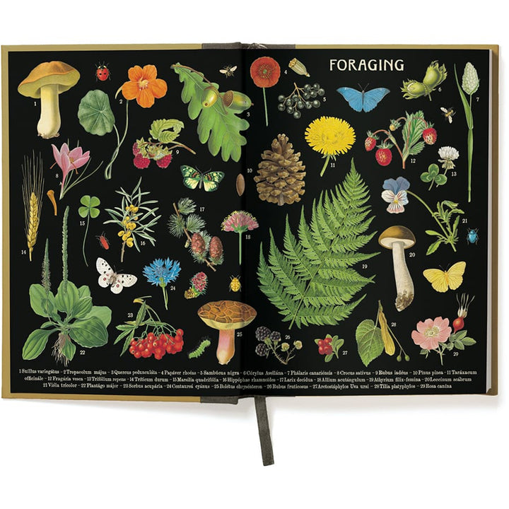 Cavallini &amp; Co. Paper Foraging Window Journal