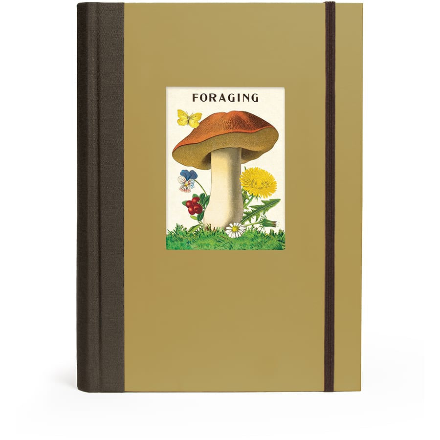 Cavallini & Co. Paper Foraging Window Journal