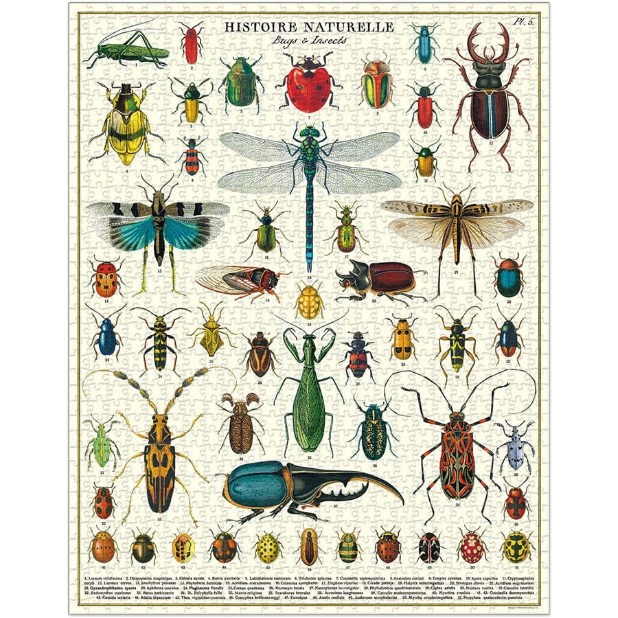 Cavallini & Co. Puzzle Cavallini & Co Bugs & Insects 1,000 Piece Puzzle