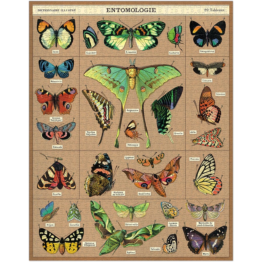 Cavallini & Co. Puzzle Cavallini & Co Entomology 1000 Piece Puzzle