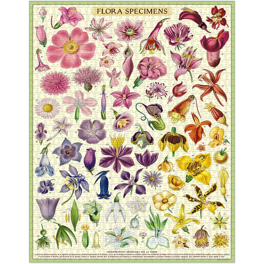 Cavallini & Co. Puzzle Cavallini & Co Flora Specimen 1000 Piece Puzzle