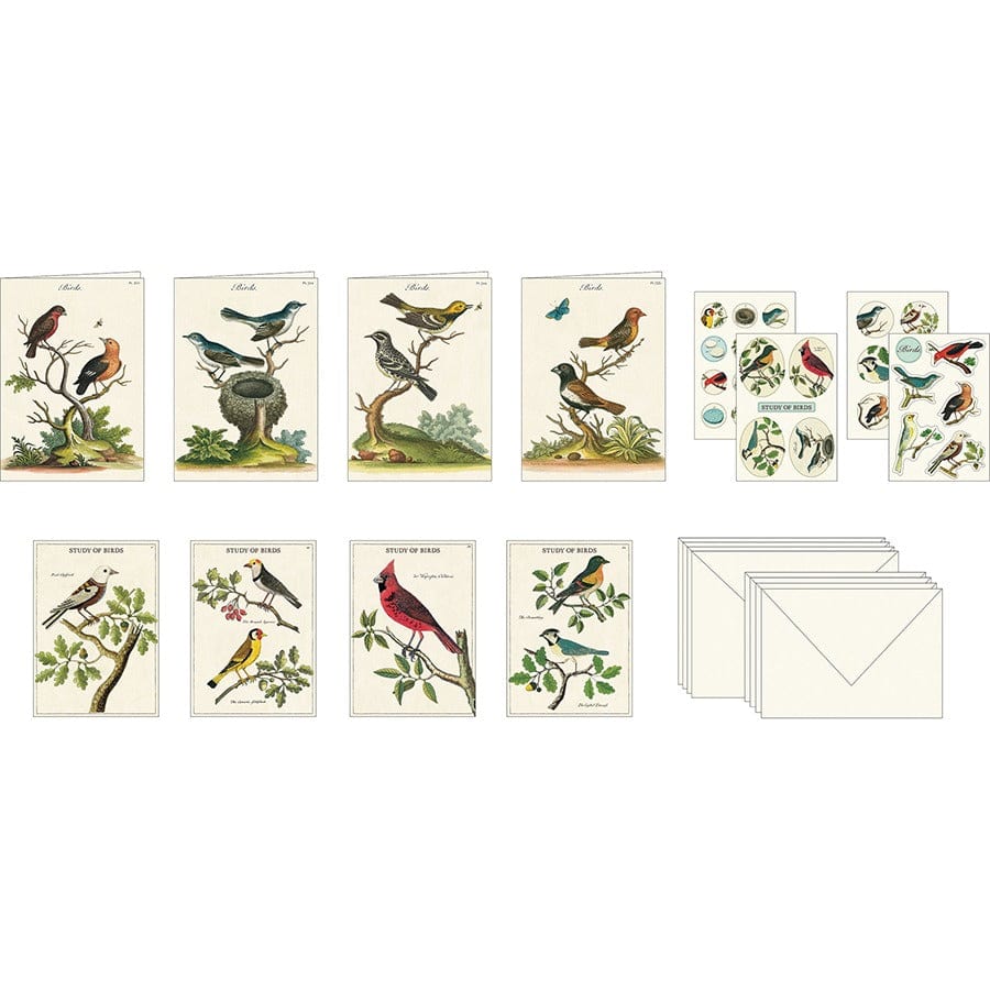 Cavallini & Co. Stationery Birds Stationery Set