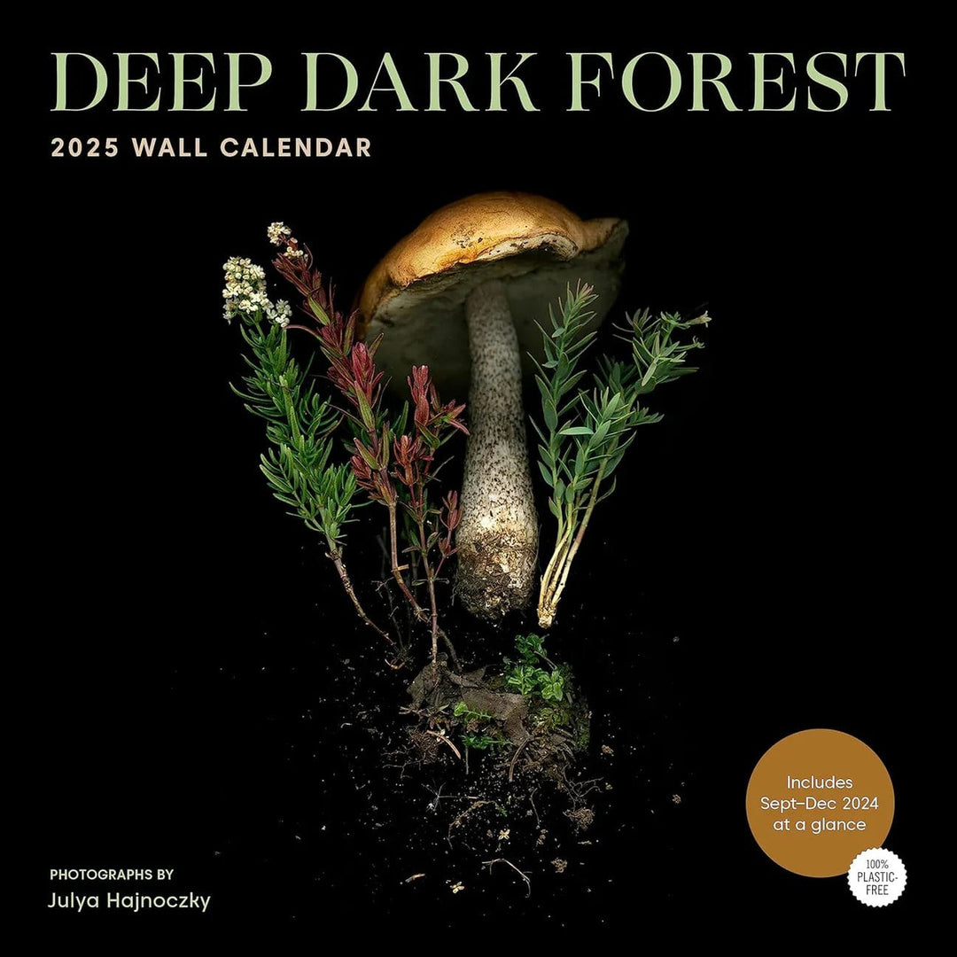 Chronicle Books Calendar Deep Dark Forest 2025 Wall Calendar