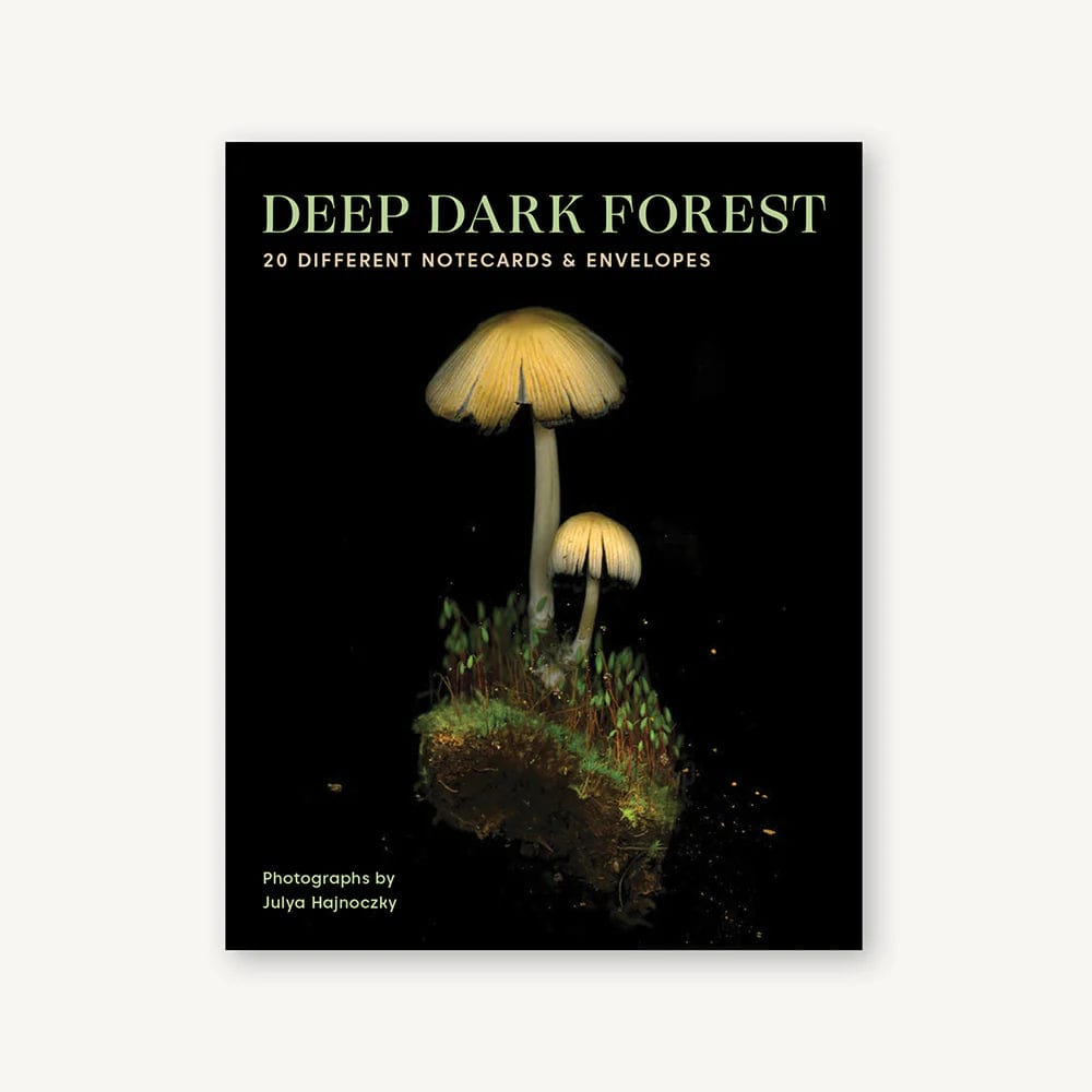 Chronicle Books Cards Deep Dark Forest Notes
