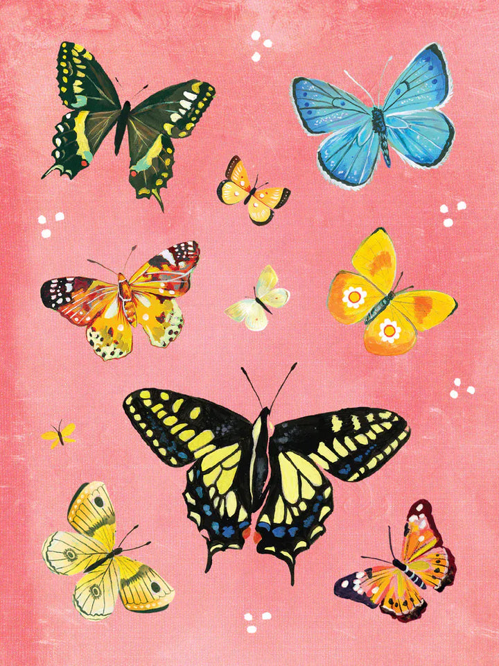 Chronicle Books Cards Wildflower Picnic Sticker Book