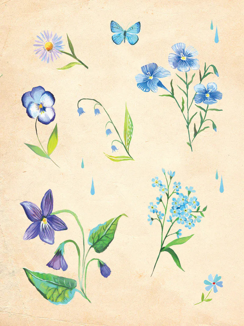 Chronicle Books Cards Wildflower Picnic Sticker Book