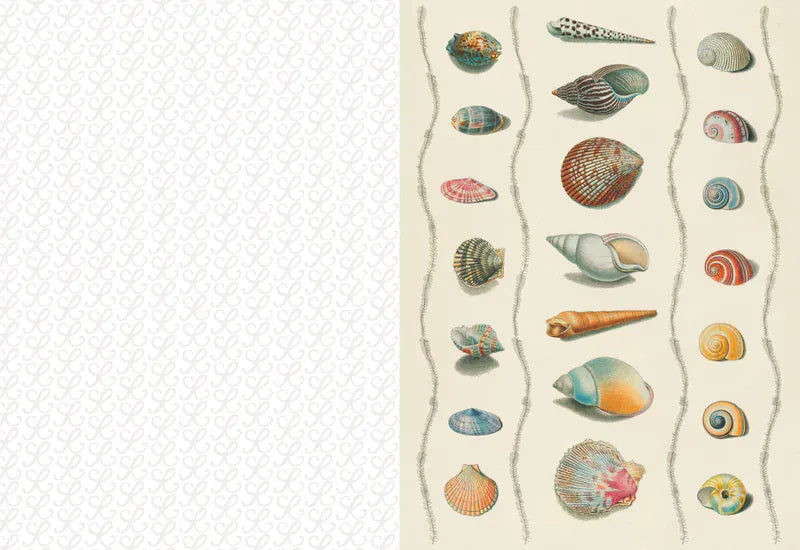 Chronicle Books Gifts Collage Compendium