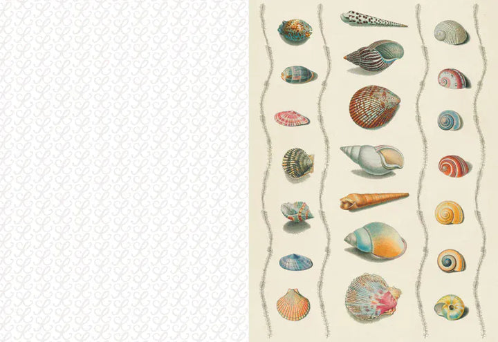 Chronicle Books Gifts Collage Compendium