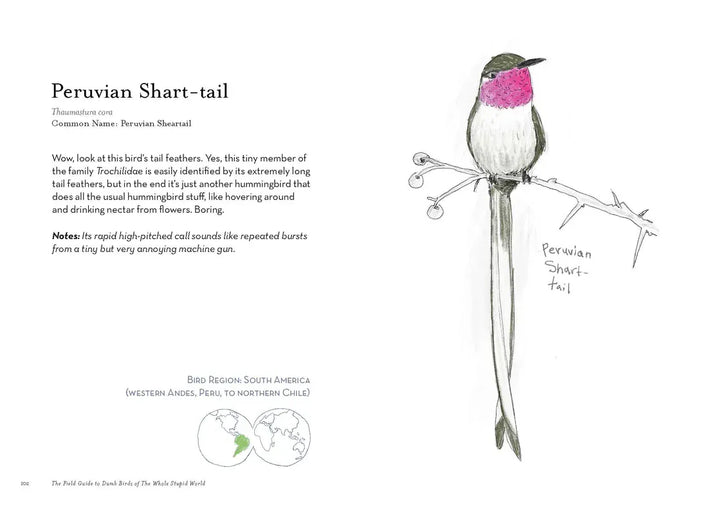 Chronicle Books Gifts The Field Guide To Dumb Birds of the Whole Stupid World