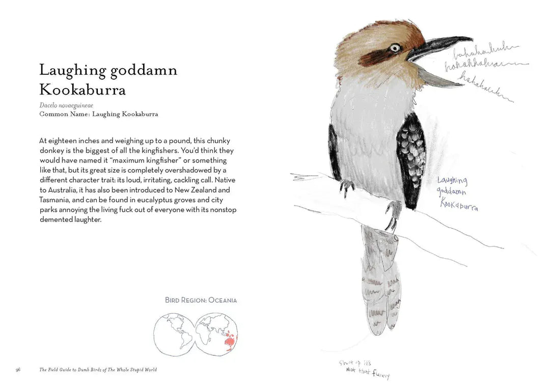 Chronicle Books Gifts The Field Guide To Dumb Birds of the Whole Stupid World