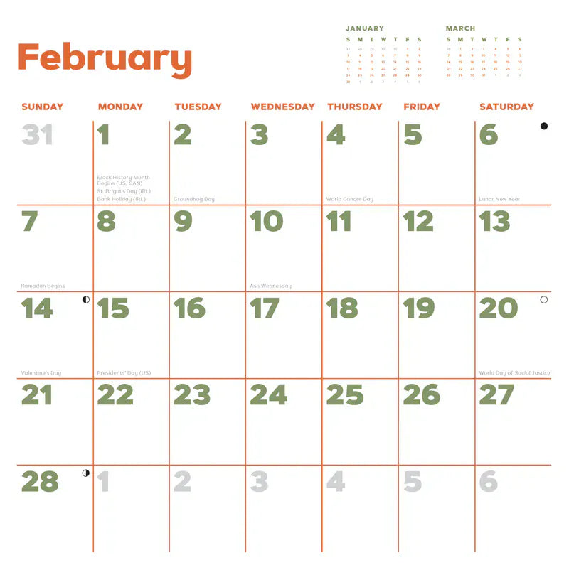 Chronicle Books Paper Catffirmations 2027 Wall Calendar