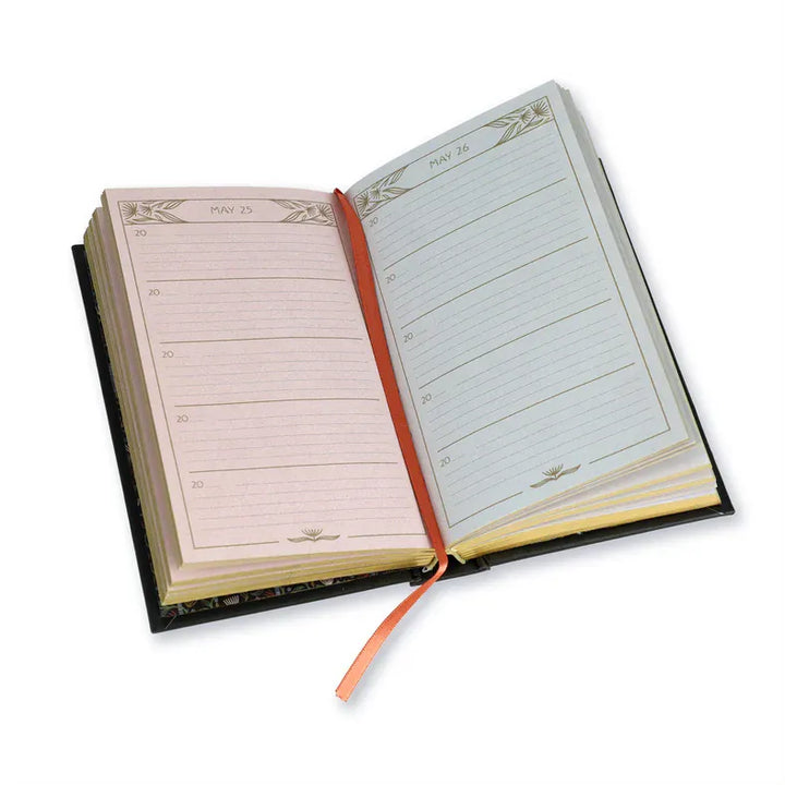 Chronicle Books Paper Nouveau One Line A Day