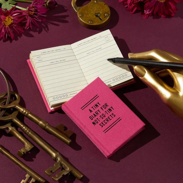 Chronicle Books Paper Tiny Diary For Not So Tiny Secrets
