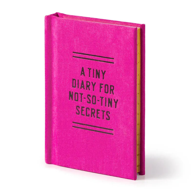 Chronicle Books Paper Tiny Diary For Not So Tiny Secrets