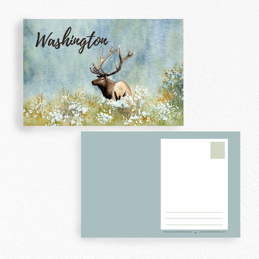 CMarie Northwest Postcards Elk Postcard, Watercolor Nature Souvenir