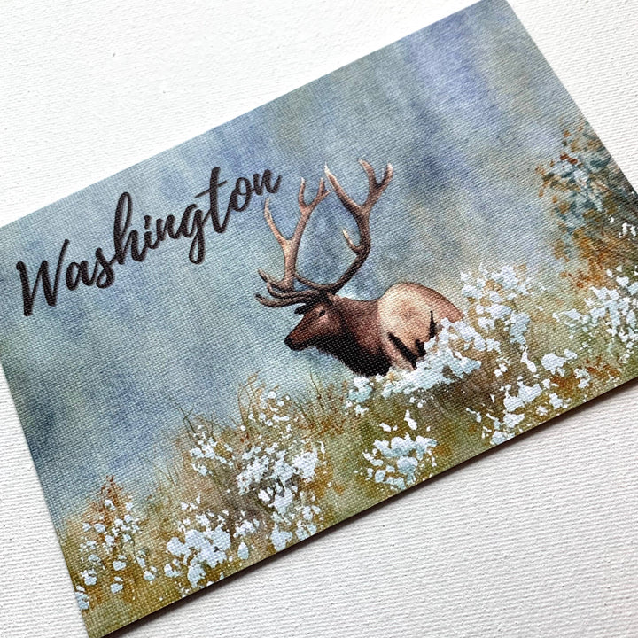 CMarie Northwest Postcards Elk Postcard, Watercolor Nature Souvenir