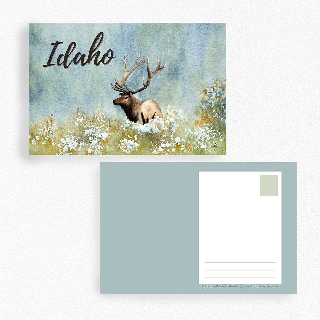 CMarie Northwest Postcards Elk Postcard, Watercolor Nature Souvenir