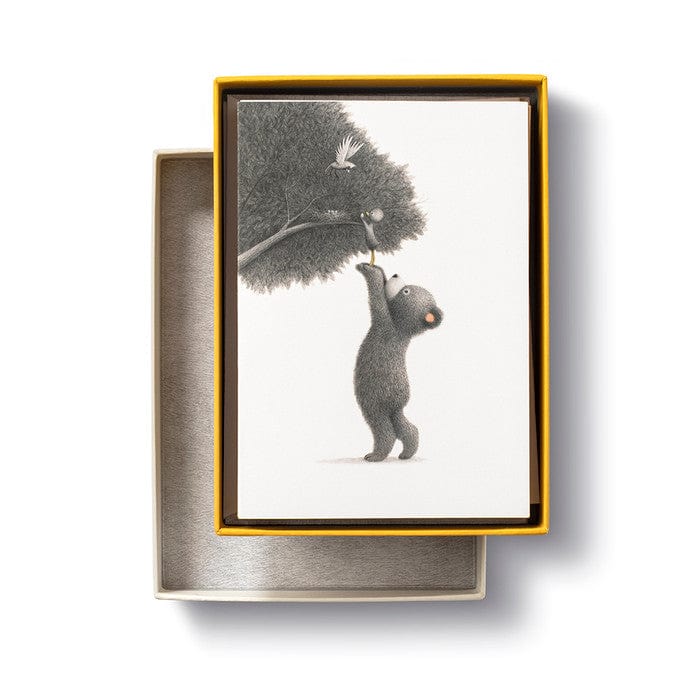 Compendium Boxed Card Set Note Card Set - So Much Gratitude