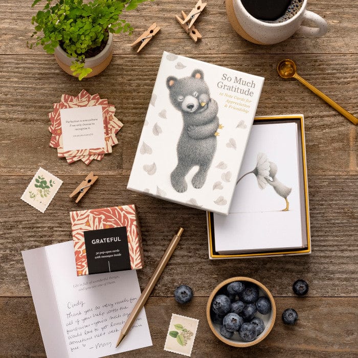 Compendium Boxed Card Set Note Card Set - So Much Gratitude