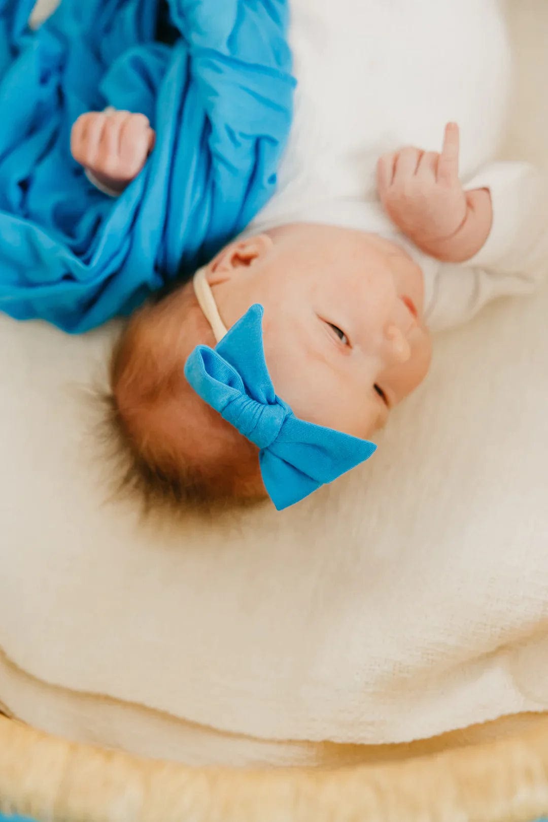 Copper Pearl Baby Blueberry Classic Nylon Bow | Copper Pearl